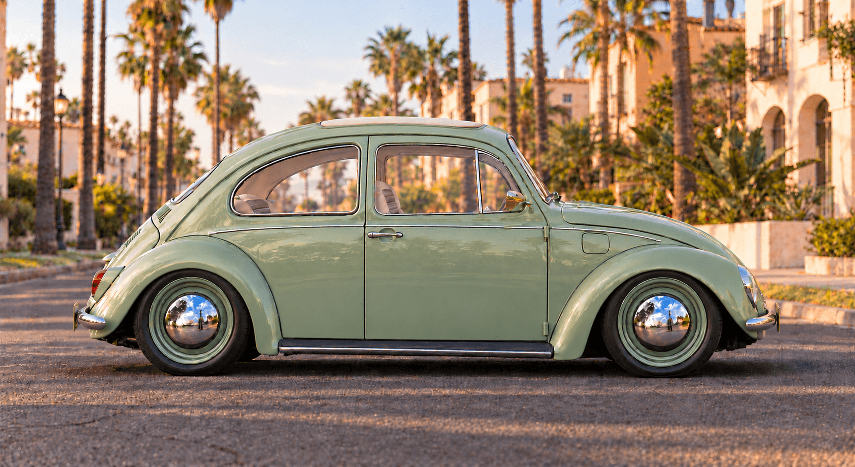The pistachio Bug on a palm-lined street at sunset